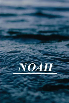 Produktbild von Noah