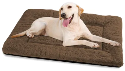 Immagine prodotto di Cuccia lavabile per cani di grossa taglia, antiscivolo e morbida