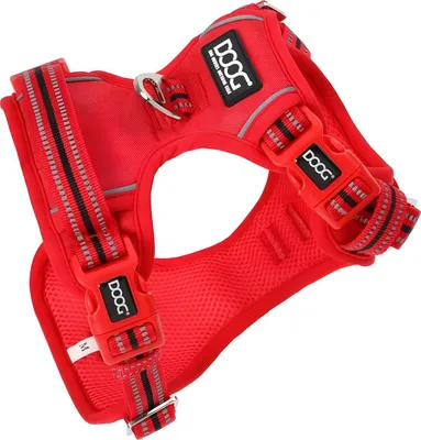 Produktbild von DOOG Neotech Geschirr rot, Größe: M