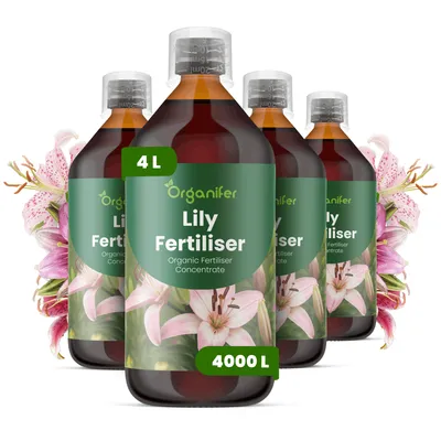 Obrázek produktu pro Lalia Tekuté Hnojivo 4x1 L – 3-4-3 NPK – Pro Lalie – Podporuje Stabilné Stonky, Silné Listy & Tvorbu Květů – Organifer