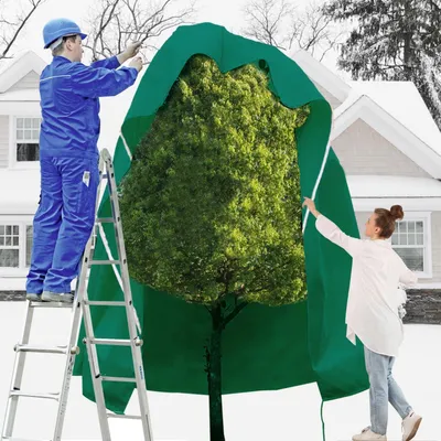 Immagine prodotto di Copertura protettiva per piante, 250x360 cm, verde, traspirante