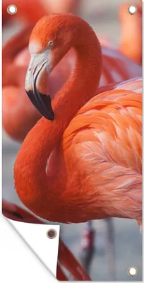 Produktbild von MuchoWow® 30x60 cm Outdoor-Poster Gartendeko Sichtschutz Garten Poster für den Garten  Flamingo - Vogel - Tiere - Rosa