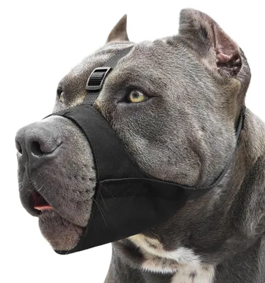 Productafbeelding van Mayerzon muilkorf voor pitbulls, zachte muilkorf, met antislipbandjes, geschikt voor Amerikaanse pitbulls