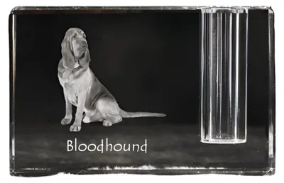 Productafbeelding van Bloedhond kristallen pennenhouder met hond Art-Dog