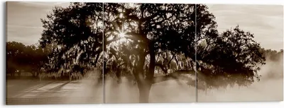Produktbild von Bild auf Leinwand - Leinwandbild - Baum Feld Natur - 150x50cm - Wand Bild - Wanddeko - Wandbilder - Leinwanddruck - Bilder - Kunstdruck - Wanddekoration - Leinwand bilder - Wandkunst - CA150x50-3811