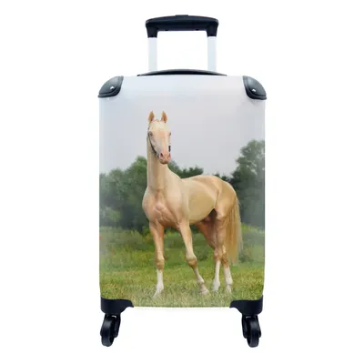Obrázek produktu pro Kufr Příruční zavazadlo na kolečkách Malý cestovní kufr na 4 kolečkách Koně - tráva - barvy - Velikost kabiny < 55x40x23 cm a 55x40x20 cm - Fotobrašna