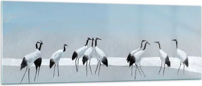 Produktbild von Bilder auf glas - Einteilig - Vögel Kraniche Natur - 140x50cm - Glasbilder - Wandbilder - Bilder - zum Aufhängen bereit - Wanddekoration aus Glas - Glas Bilder - Wandbild auf Glas - GAB140x50-4921
