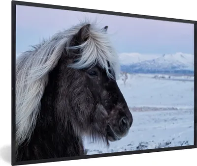 Produktbild von MuchoWow® MuchoWow® Gerahmtes Poster Pferd - Schnee - Island 90x60 cm - Poster mit zchwarzem Bilderrahmen - Fotorahmen - Foto-Plakat