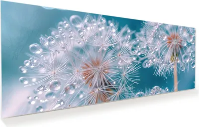 Produktbild von Glasbild 150x60cm in XXL für Wohnzimmer, Schlafzimmer Motiv Wassertropfen Pusteblume