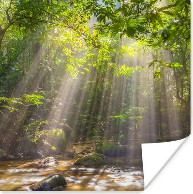 Produktbild von MuchoWow® Poster Sonnenstrahlen durch Laub 100x100 cm - Babyzimmer