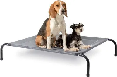 Produktbild von Famanu Hundebett erhöhtes Design - grau, für drinnen und draußen, Camping, Größe M 87 x 63 cm, Höhe 20 cm