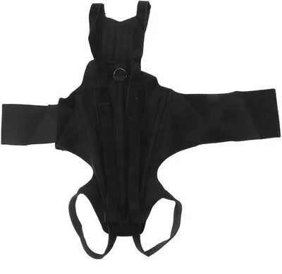 Immagine prodotto di Supporto lombare per cani - Regolabile - Supporto ergonomico - Recupero duraturo - Stabilizzazione - Effetto calmante - Supporto vertebrale per alleviare il dolore - Trattamento per cani