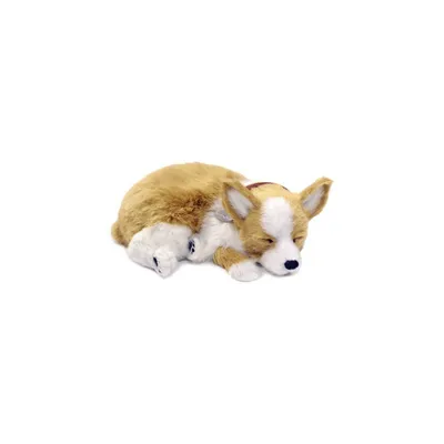 Produktbild von Perfect Petzzz 96439 atmender Welpe - Corgi