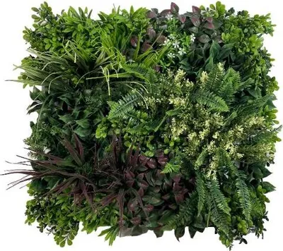 Image de Mur végétal - Panneau végétal - Vignoble B - UV 50 x 50