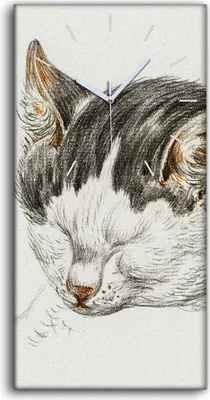 Produktbild von Wandbild Leinwand Bilder Wanduhr Geräuschlos 30x60 Zeichnung Tier Katze Kunst - weiße Hände