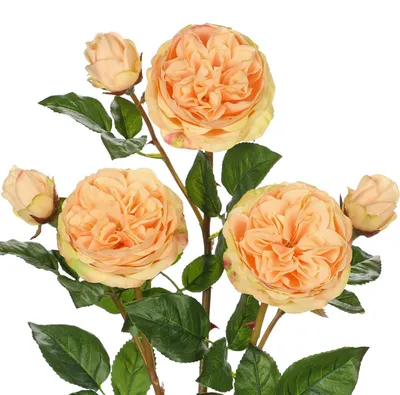 Image de Omgoods - 3 branches de roses artificielles - Fleurs en plastique jaune pour la décoration