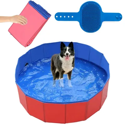 Image de Piscine pliable pour chiens avec surface antidérapante
