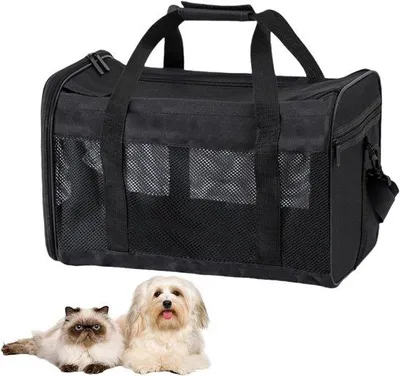 Produktbild von Famanu Transportbox für Katzen und Hunde - faltbar, verstellbarer Schulterriemen, schwarz, M