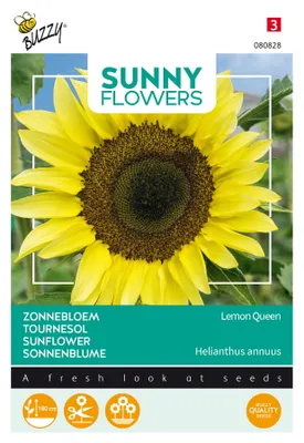 Produktbild von Buzzy Sunny Flowers Sonnenblume Lemon Queen Samen - Ca. 1 gr | Buzzy_080828
