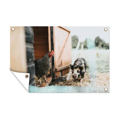 Obrázek produktu pro MuchoWow® Zahradní plakáty - Prase - kuře - farma - 40x60 cm - Zahradní dekorace