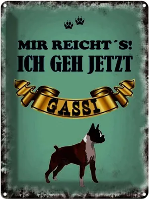 Produktbild von vianmo Blechschild 40x30 cm mir reicht`s ich geh gassi Hund