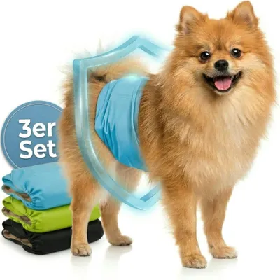 Produktbild von HUND IST KÖNIG Hundewindeln für Rüden [3 Stk], XS (Taille 23-32 cm) - saugstarke Hundewindeln bei Inkontinenz, umweltfreundliche Rüdenwindel waschbar