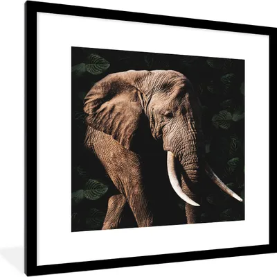 Produktbild von MuchoWow® MuchoWow® Gerahmtes Poster Elefant - Tiere - Zähne 40x40 cm - Poster mit zchwarzem Bilderrahmen - Poster - Plakat im Rahmen