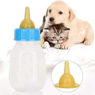 Image de Biberon en silicone pour chats et chiens, 120 ml, portable, transparent, résistant