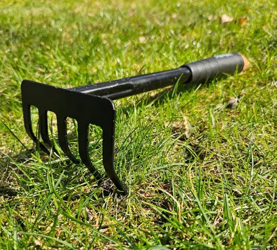 Immagine prodotto di Rastrello a 5 denti / Piccolo rastrello in acciaio / per fiori / Larghezza 9 cm