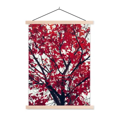 Produktbild von MuchoWow® Textilposter Ahorn - Blätter - Herbst - Natur 60x80 cm mit holzfarbenen Rahmen - Wandbild