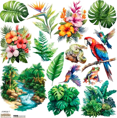 Immagine prodotto di STICKERS Adesivi decorativi ScrapLove - Giungla 1