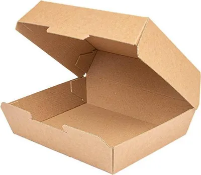 Image de Boîte à lunch isotherme 22,5 x 17 x 8,5 cm 50 pièces.