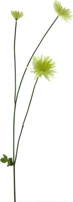 Produktbild von artplants.de Kunstblume Chrysantheme YUNJUAN, Creme, 60 cm - Künstlicher Blumenzweig