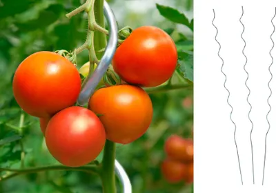 Produktbild von 20x 110 cm Tomatenspiralstab Tomaten Rankhilfe Rankspirale Pflanzstab Stahl Spiralstab