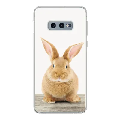 Produktbild von MuchoWow® Handyhülle Schutzhülle Hülle für Samsung Galaxy S10e Kaninchen - Babykaninchen - Tiere - Kinder - Mädchen - Jungen Silikon Softcase Handy Hülle - Handy