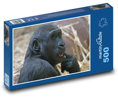 Zdjęcie produktu dla Puzzle 500 Zamyślona gorylica - martinpuzzle