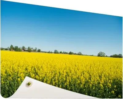 Produktbild von Gartenposter - 120x80 cm - Ölsaatenfeld-Foto  - Modernes Wandbilder - Natur