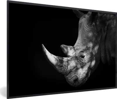 Produktbild von MuchoWow® MuchoWow® Gerahmtes Poster Rhinozeros - Tier - Licht 30x20 cm - Poster mit zchwarzem Bilderrahmen - Kunstdruck - Bild-Poster