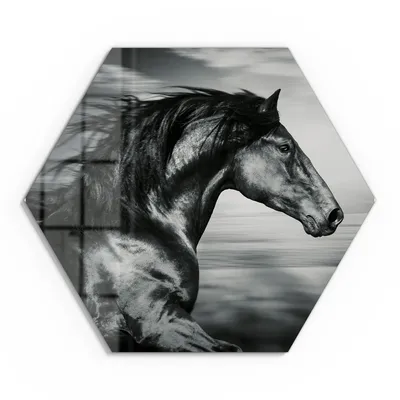 Produktbild von DEQORI Glasbild Echtglas 55x48 cm 'Galoppierendes Pferd' Wandbild Bild modern Deko