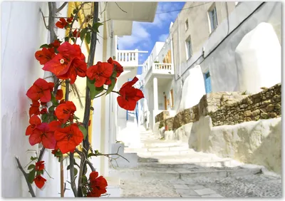 Produktbild von Tulup® Leinwandbild - 100x70 cm - Wandkunst - Drucke auf Leinwand - Leinwanddruck  - Sehenswürdigkeiten & Architektur - Rot - Mykonos Griechenland