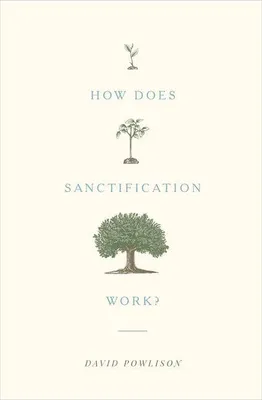 Produktbild von How Does Sanctification Work?