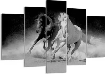 Produktbild von Bild auf Leinwand - Leinwandbild - 5 Teile - Andalusier Pferde Galopp - 150x100cm - Wand Bild - Wanddeko - Wandbilder - Leinwanddruck - Bilder - Wanddekoration - Leinwand bilder - EA150x100-4240