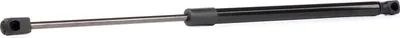 Produktbild von RIDEX 219G0631 Gasfeder Heckklappendämpfer für SEAT Exeo ST (3R5) 490mm