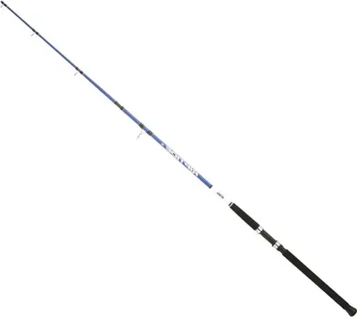 Image de Canne à lancer Mitchell Riptide R Dorade Bleu 2,40 m / 100-300 g Bleu 2,40 m