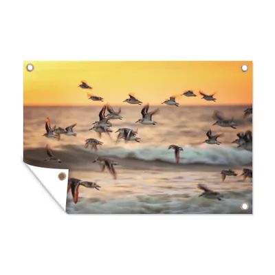 Obrázek produktu pro MuchoWow® Zahradní plakáty - Skupina břehulí v letu - 80x120 cm - Zahradní dekorace