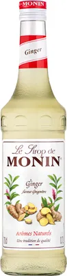 Produktbild von Monin Sirup Ingwer 700 ml, Dessertsirup, Ingwer, 700 ml, Flasche, Zucker, 36 Monat( e)