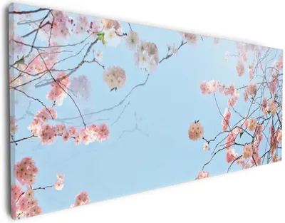 Produktbild von Wallario Premium Leinwandbild Kirschblütenzweige und grüne Wiese- Frühling in Größe 30 x 75 cm