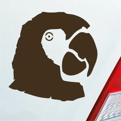 Produktbild von Auto Aufkleber Papagei Ara Vogel Bird Tier Tuning 10x10 cm Braun Sticker Heckscheibenaufkleber