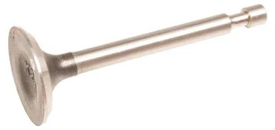 Zdjęcie produktu dla Zawór wydechowy Kohler XT775 CZĘŚĆ ORYGINALNA 1401601