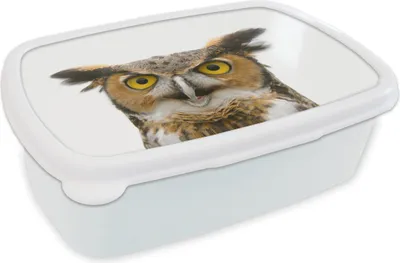 Produktbild von KitchenYeah® Lunchbox Brotzeit Brotdose 17x11 cm Eule - Vogel - Porträt Kinder Brotzeitdose - Lunch Box - Kinder - Sandwich-Box - Schulbox - Lunch Boxen